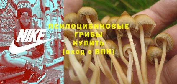 прущая мука Алексин