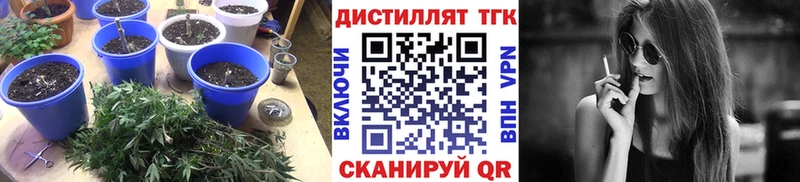 ТГК гашишное масло  блэк спрут зеркало  Ижевск 