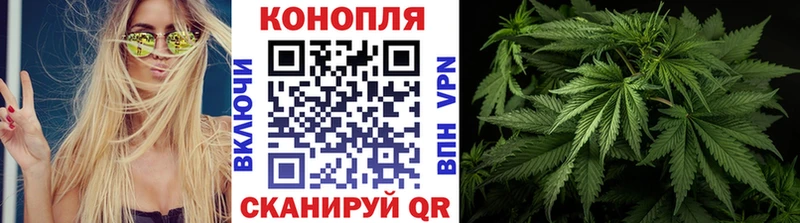 Бошки Шишки VHQ Ижевск